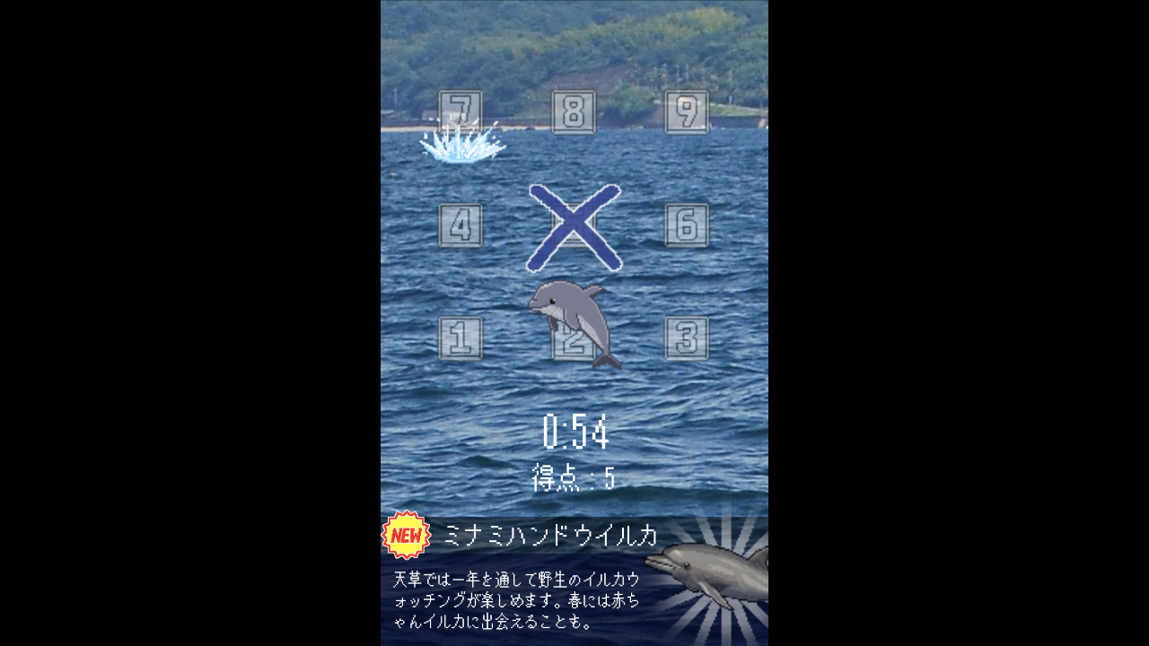 イルカをウォッチングしているゲームプレイ画面